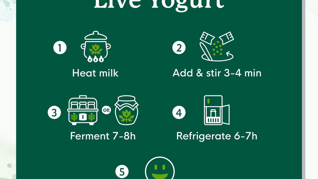 How to Use a Yogurt Maker (and Without One)